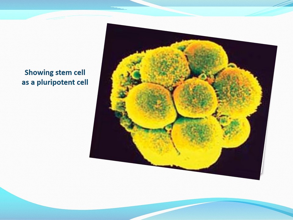 Stem Cells Therapy in India at Clinicounselors