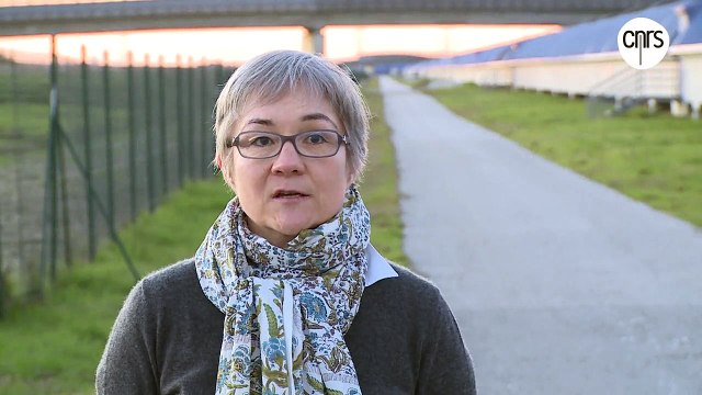 les ondes gravitationnelles (vidéo)