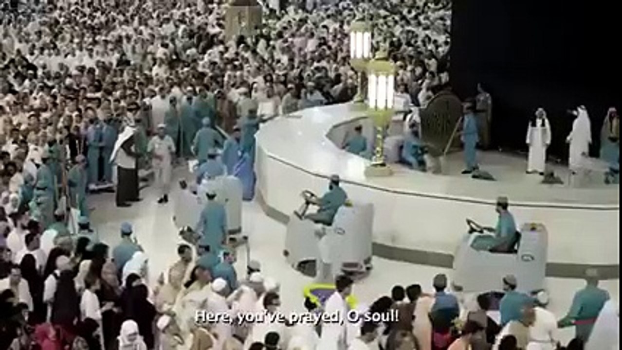 best job in the World