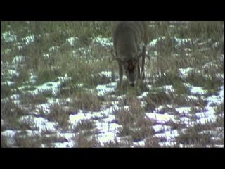 Realtree Outdoors - Ilinois