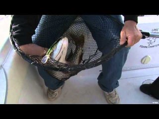 Sportfishing Adventures - Lake Diefenbaker Charters