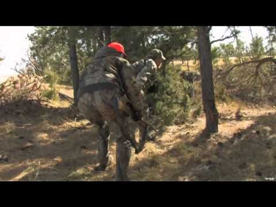 Fear No Evil - Colorado Redemption