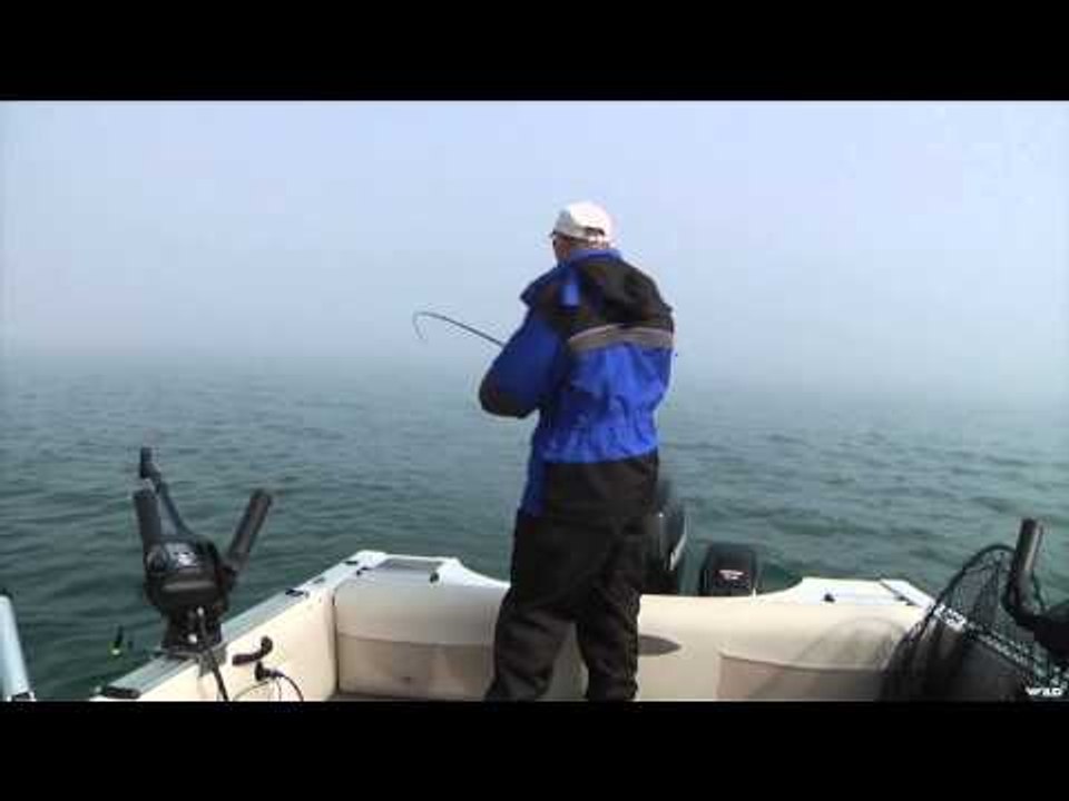Fishful Thinking - Glow Spoon Salmon