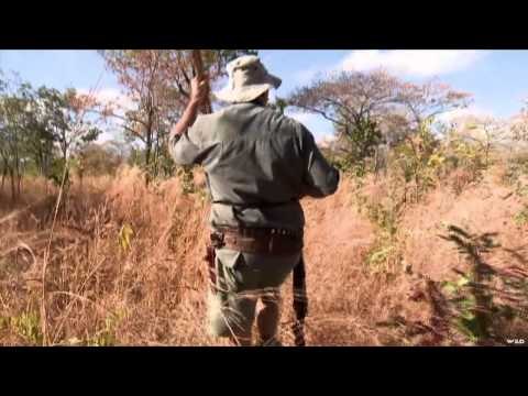 Dallas Safari Club's Tracks Across Africa - Put the Dot on his Shoulder