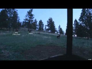Hunting with HECS - HECS Tech and the Wild Turkey