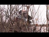 Long Range Pursuit - Mule Deer from Kansas to Canada