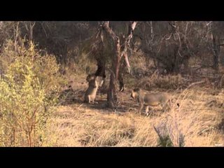 OutfittersRatingTV - Africa - Land of Quantity and Quality