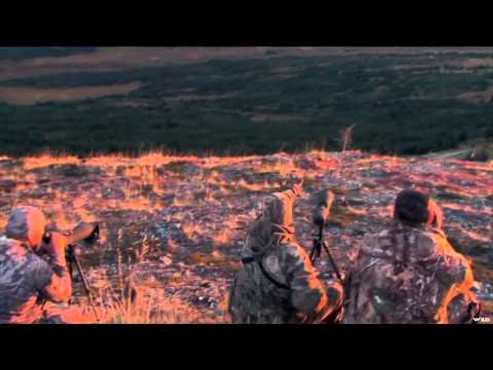 Canada in the Rough  - Massive Moose & Mountain Caribou