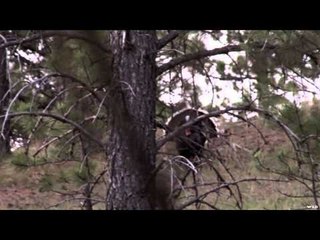 Intrepid Outdoors - Solitude RePlay