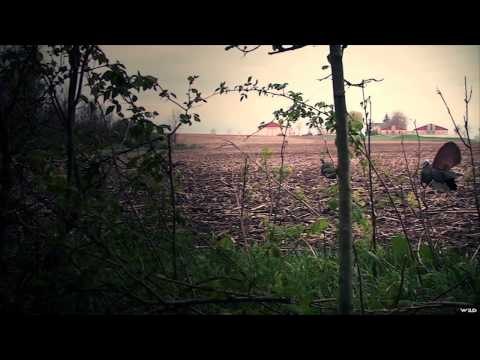 Just Us Hunting - This is The Luck We Have