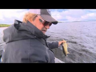 Babe Winkelman's Good Fishing - Family Fishing Fun