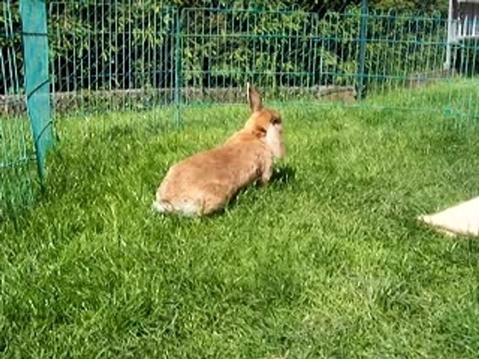 23.5.07 Letztes Video von Ronja