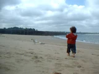 PETIT HOMME ET LA MER/2