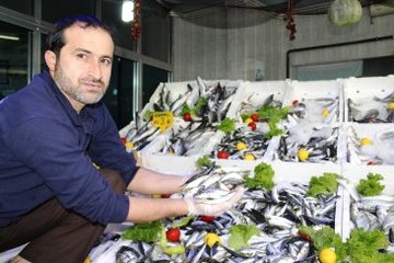 Karadenizli Balıkçılar Sezonu Erken Kapatıyor