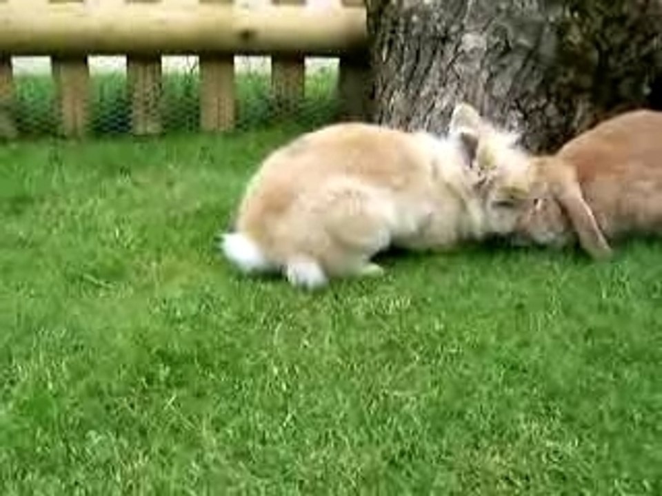 August 06 Feiveli und Ronja