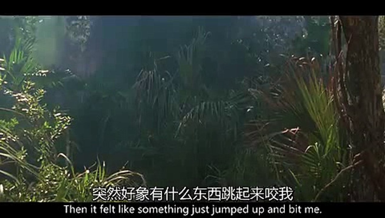 최신개정판카지노▶【GFA7。C0M】◀카지노사이트ず