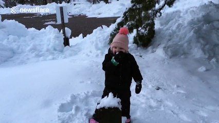 Three-year-old girl can't stop eating snow