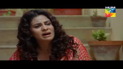 Gul E Rana - Episode 14 - Full Episode - 6th February 2016 - ClouDevilz.com