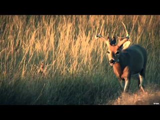 Headhunter's TV - Headhunting South Dakota