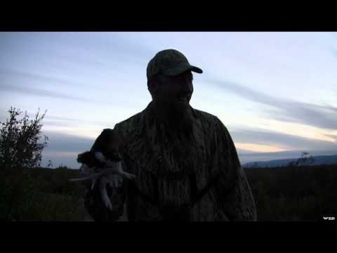 M2D Camo's Livin' the Dream - Alaska Moose