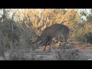 Mathews TV with Dave Watson - Mathews TV with Dave Watson