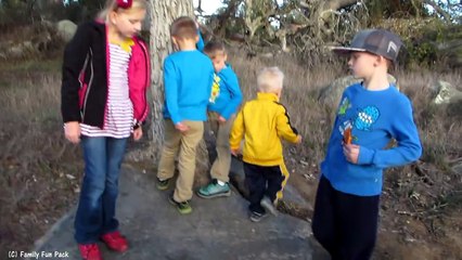 Rocks, Bridges & Trees || Mommy Monday