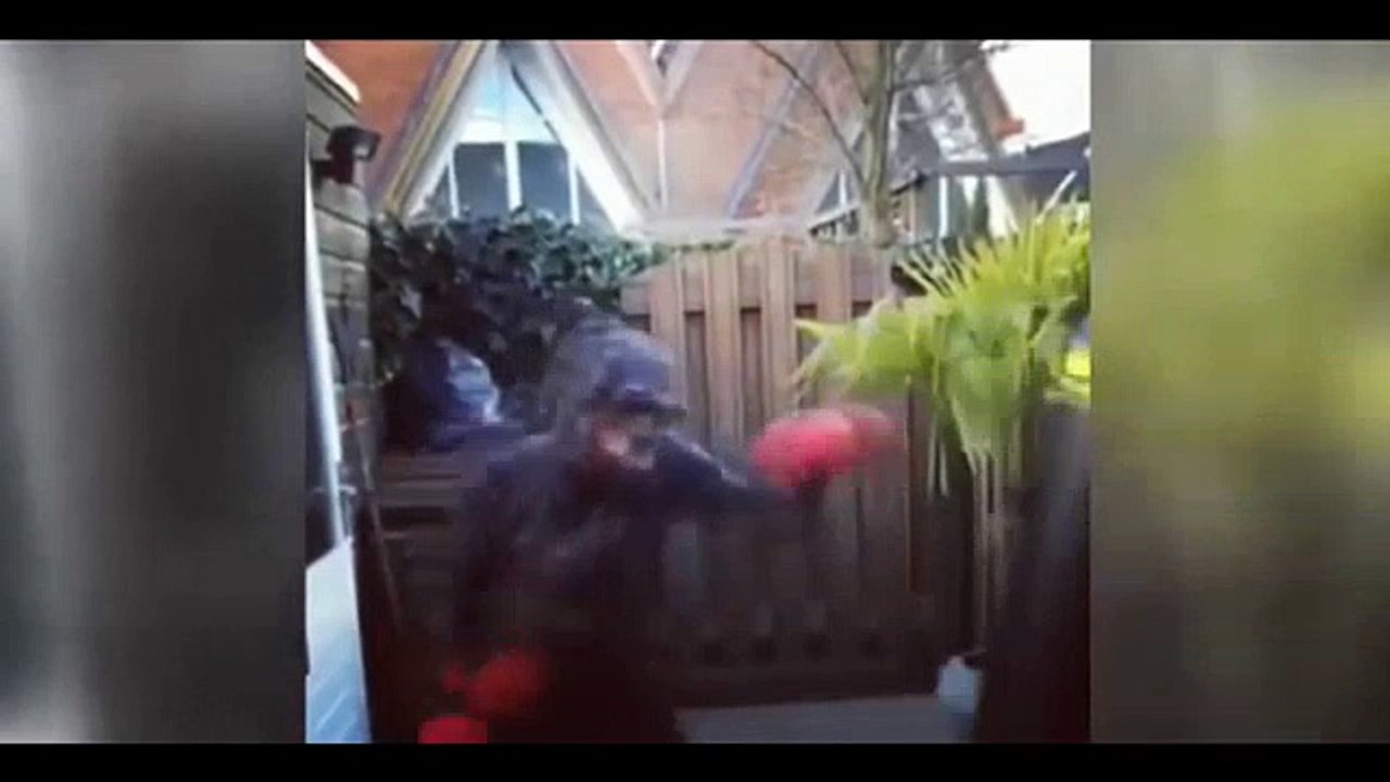 Rodney Sneijder çok sert!