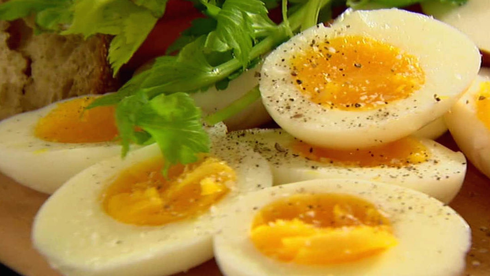 An Egg A Day Won't Risk Your Heart || Health News