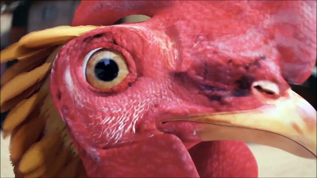 RIO 2014 - World Cup Samba Rooster 3D & motion design