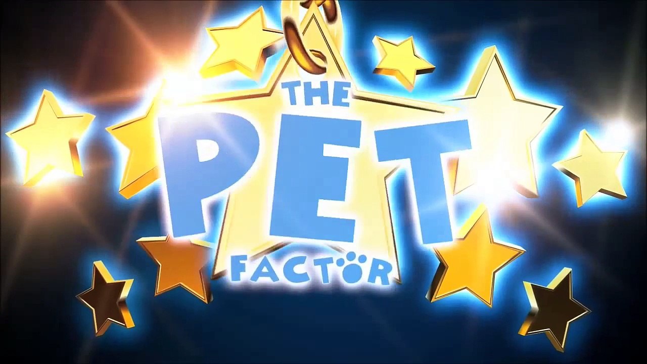 The Pet Factor - Cat, Dog, Hamster mix from Thought Den