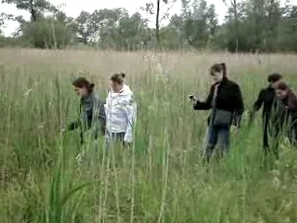 MOV01265