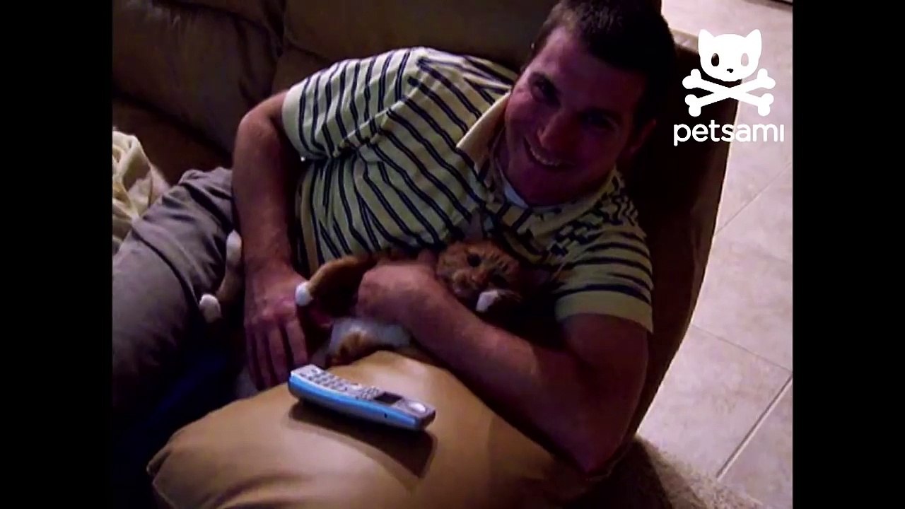 Cat laughs hysterically while getting a belly rub