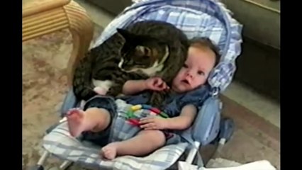 Cat Protects Baby
