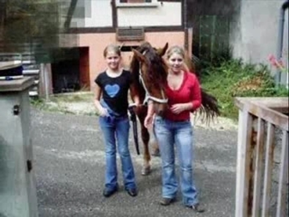 S.O.S montage good-boy