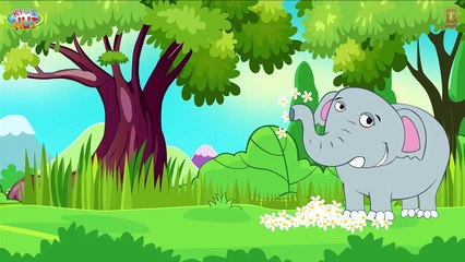 ELEPHANT FINGER FAMILY    Finger Family Songs   Elephant Family Finger   Funny Finger Family