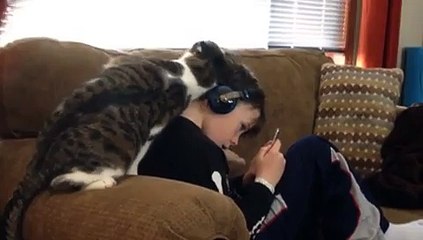 Minnoşluğu Üzerinde Olan Kedi Küçük Dostunu Bir Türlü Rahat Bırakmadı