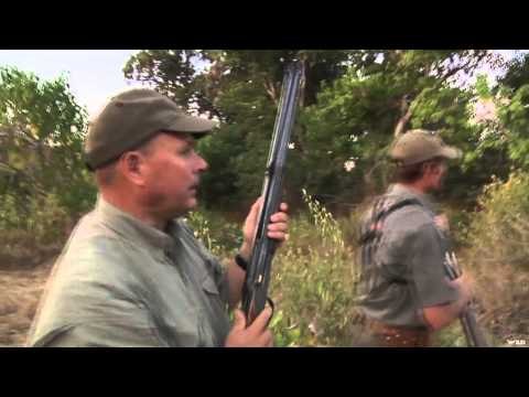 Dallas Safari Club's Tracks Across Africa - Return of Chewore Part 1