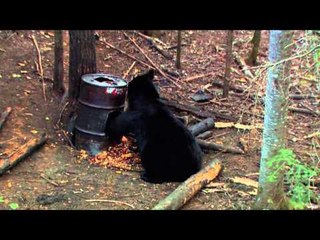 OutfittersRatingTV - Manitoba Black Bear