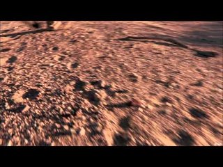 FOXPRO Furtakers - Arizona