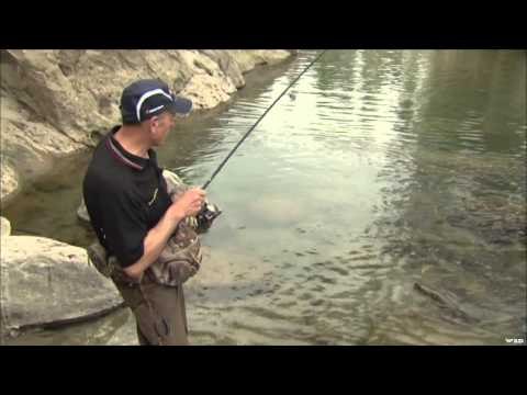 Canadian Sportfishing - Ranee River, Jogindarnagar, India