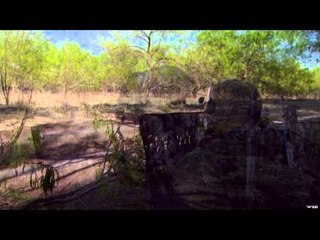Primos - The Truth About Hunting - Turkeys in South Texas
