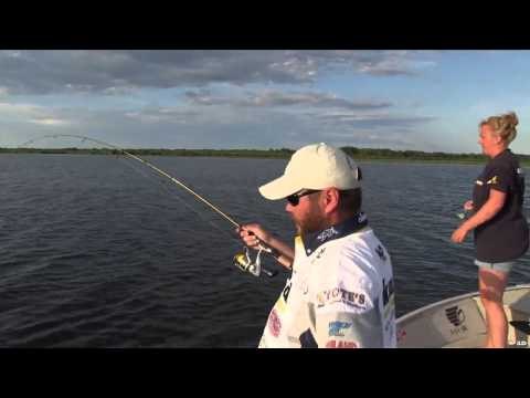 Maximum Limit Fishing - MacKenzie Predators