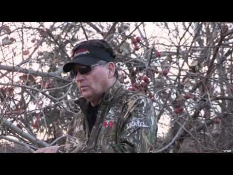 Mojo TV - Settling the Score with Canadian Coyotes Part 2