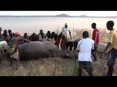 Where in the World is Colorado Buck? - Namibia with Thirstland Safaris