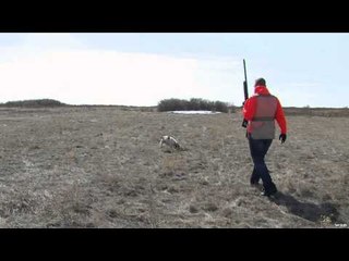 The Real Canadian Joes - Pheasants, A 100 Year Tradition