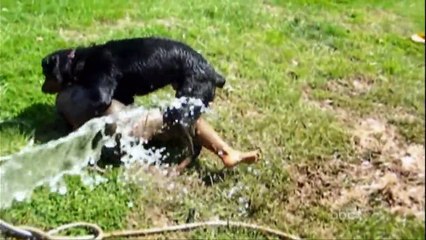 ☺ America's Funniest Home Videos Part 11 _ OrangeCabinet