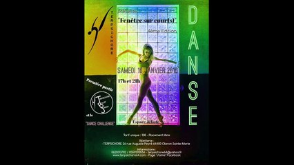 Rétrospective du spectacle "Fenêtre sur cour(s) 4ème Edition" présenté par Terpsichore