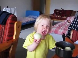 ¿ Eres adicto a la cebolla? Descubre sus secretos y beneficios 🧅