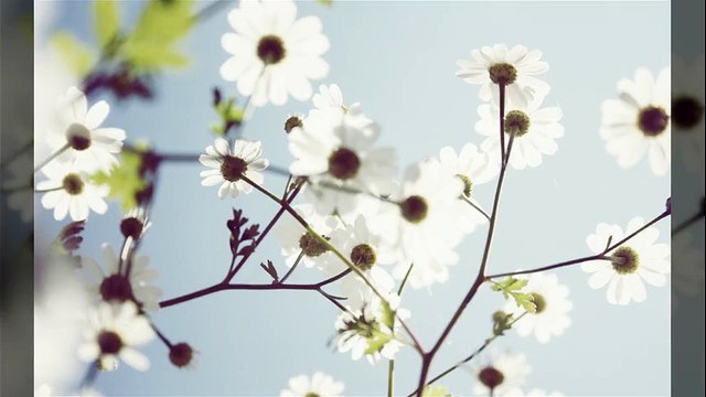 hdgr부산풀싸롱 ㅣOIO↔2916↔6036ㅣ배팀장.부산란제리풀싸롱↔서면풀싸롱!