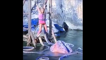 Semih Öztürk Bütün Vineları | 21 Vine